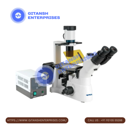 Fluorescence Inverted Microscope