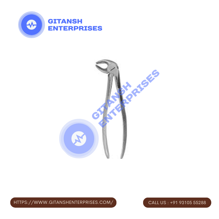 Lower Premolar Lower Premolar